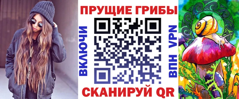 Псилоцибиновые грибы Psilocybe  купить наркотики сайты  Тогучин 